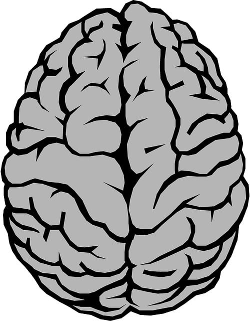 ** Czy mózg jest zaprogramowany na natychmiastową gratyfikację? Jak neurobiologia tłumaczy „Paradoks Nagrody”?