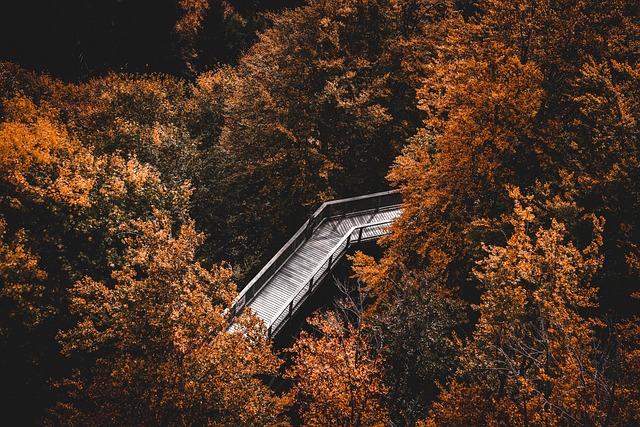 Mindfulness w jedzeniu: Jak świadome podejście zmienia nasze nawyki