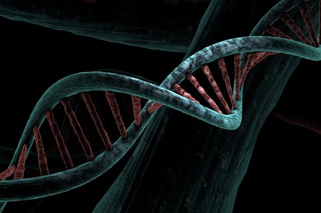 Masa mięśniowa a geny: Jak nasza biologia wpływa na wyniki treningowe?